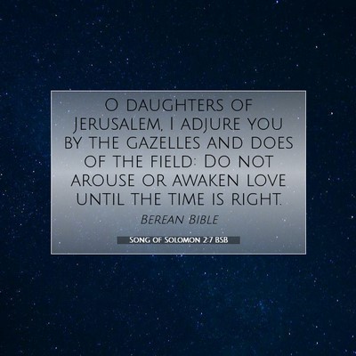 Picture 07 - Song of Solomon 2:7 BSB - O daughters of Jerusalem, I adjure you by the - Bible Verse Picture