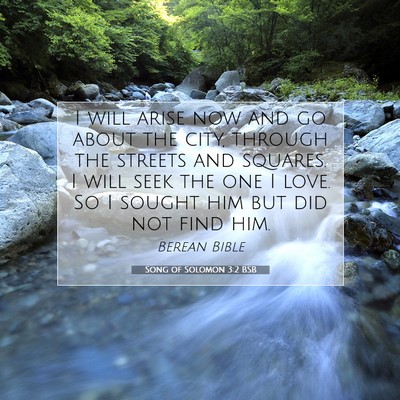 Picture 07 - Song of Solomon 3:2 BSB - I will arise now and go about the city, through - Bible Verse Picture