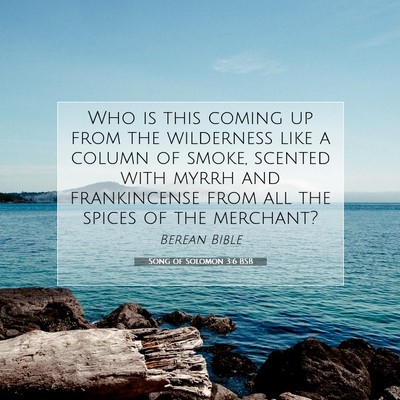 Picture 07 - Song of Solomon 3:6 BSB - Who is this coming up from the wilderness like a - Bible Verse Picture