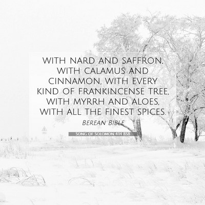 Picture 07 - Song of Solomon 4:14 BSB - with nard and saffron, with calamus and cinnamon, - Bible Verse Picture