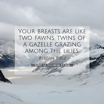 Picture 07 - Song of Solomon 4:5 BSB - Your breasts are like two fawns, twins of a - Bible Verse Picture
