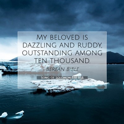 Picture 07 - Song of Solomon 5:10 BSB - My beloved is dazzling and ruddy, outstanding - Bible Verse Picture