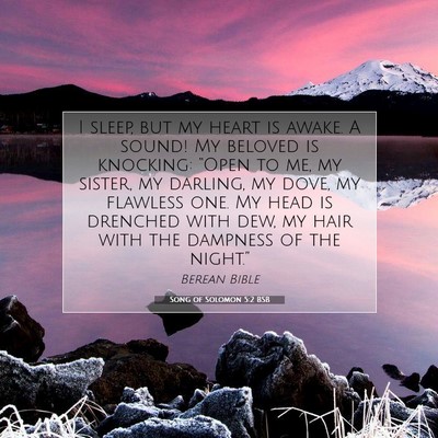 Picture 07 - Song of Solomon 5:2 BSB - I sleep, but my heart is awake. A sound! My - Bible Verse Picture