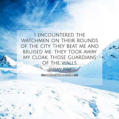 Picture 07 - Song of Solomon 5:7 BSB - I encountered the watchmen on their rounds of the - Bible Verse Picture