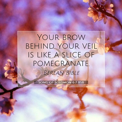 Picture 07 - Song of Solomon 6:7 BSB - Your brow behind your veil is like a slice of - Bible Verse Picture