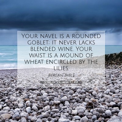 Picture 07 - Song of Solomon 7:2 BSB - Your navel is a rounded goblet; it never lacks - Bible Verse Picture