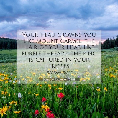 Picture 07 - Song of Solomon 7:5 BSB - Your head crowns you like Mount Carmel, the hair - Bible Verse Picture