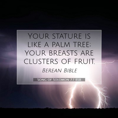 Picture 07 - Song of Solomon 7:7 BSB - Your stature is like a palm tree; your breasts - Bible Verse Picture