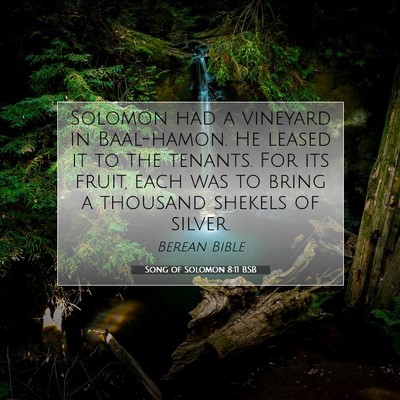 Picture 07 - Song of Solomon 8:11 BSB - Solomon had a vineyard in Baal-hamon. He leased - Bible Verse Picture