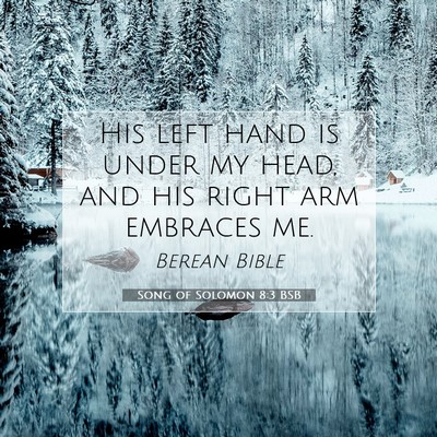 Picture 07 - Song of Solomon 8:3 BSB - His left hand is under my head, and his right arm - Bible Verse Picture