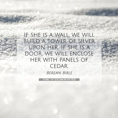 Picture 07 - Song of Solomon 8:9 BSB - If she is a wall, we will build a tower of silver - Bible Verse Picture