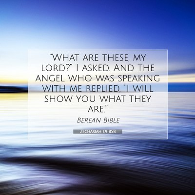 Picture 07 - Zechariah 1:9 BSB - “What are these, my lord?” I asked. And the - Bible Verse Picture