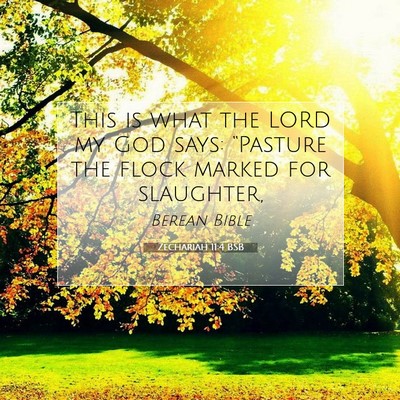 Picture 07 - Zechariah 11:4 BSB - This is what the LORD my God says: “Pasture the - Bible Verse Picture