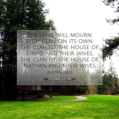 Picture 07 - Zechariah 12:12 BSB - The land will mourn, each clan on its own: the - Bible Verse Picture