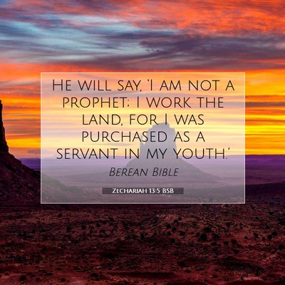 Picture 07 - Zechariah 13:5 BSB - He will say, ‘I am not a prophet; I work the - Bible Verse Picture