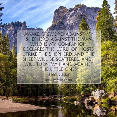 Picture 07 - Zechariah 13:7 BSB - Awake, O sword, against My Shepherd, against the - Bible Verse Picture