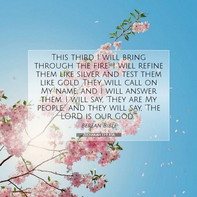 Picture 07 - Zechariah 13:9 BSB - This third I will bring through the fire; I will - Bible Verse Picture