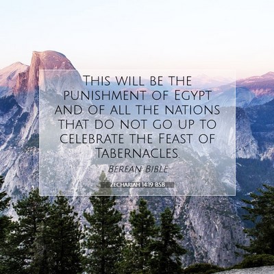 Picture 07 - Zechariah 14:19 BSB - This will be the punishment of Egypt and of all - Bible Verse Picture