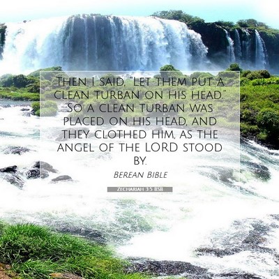 Picture 07 - Zechariah 3:5 BSB - Then I said, “Let them put a clean turban on - Bible Verse Picture