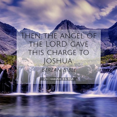 Picture 07 - Zechariah 3:6 BSB - Then the angel of the LORD gave this charge to - Bible Verse Picture