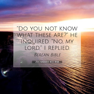 Picture 07 - Zechariah 4:13 BSB - “Do you not know what these are?” he - Bible Verse Picture