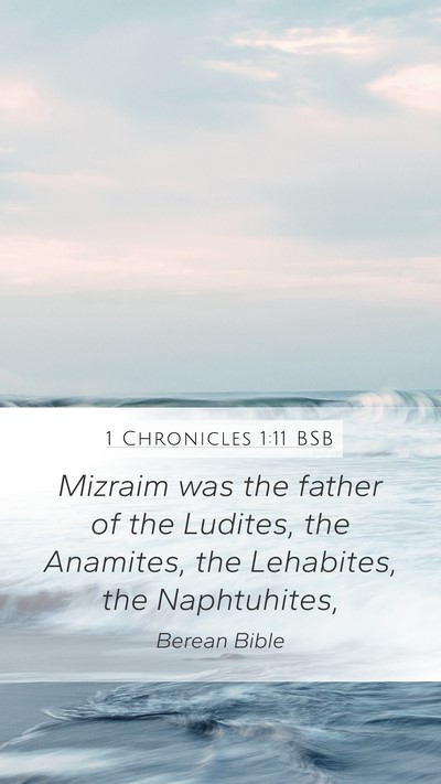 1 Chronicles 1:11 BSB Bible Verse Image