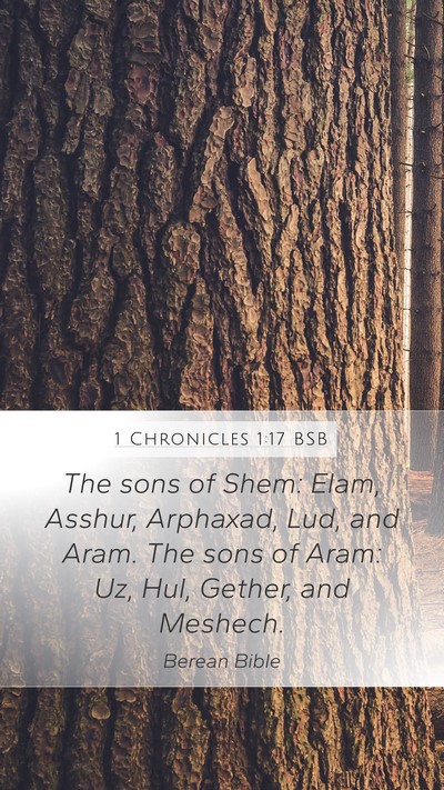 1 Chronicles 1:17 BSB Bible Verse Image
