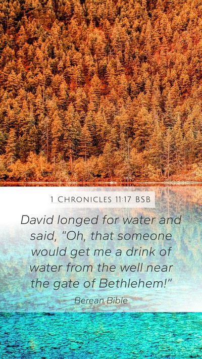 1 Chronicles 11:17 BSB Bible Verse Image