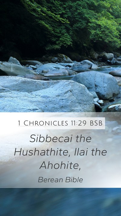 1 Chronicles 11:29 BSB Bible Verse Image