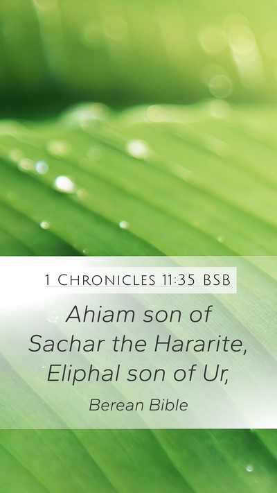 1 Chronicles 11:35 BSB Mobile Phone Wallpaper - Ahiam son of Sachar the Hararite, Eliphal son of - Mobile Bible Verse Wallpaper