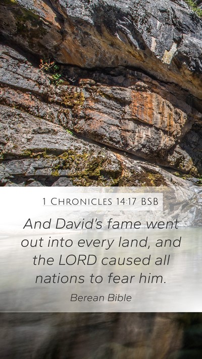 1 Chronicles 14:17 BSB Bible Verse Image