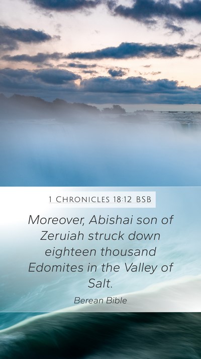 1 Chronicles 18:12 BSB Bible Verse Image