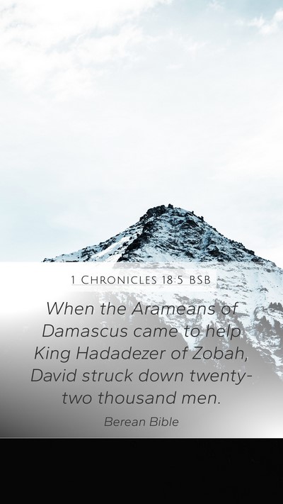 1 Chronicles 18:5 BSB Bible Verse Image