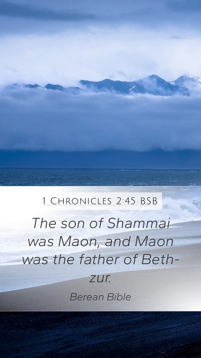 1 Chronicles 2:45 BSB Bible Verse Image