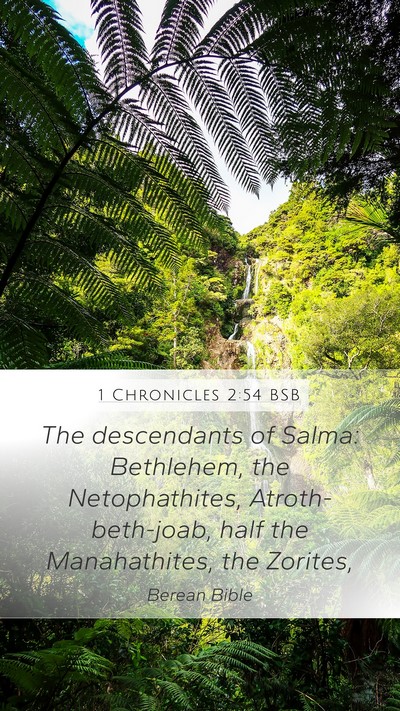 1 Chronicles 2:54 BSB Bible Verse Image