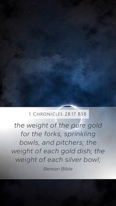 1 Chronicles 28:17 BSB Bible Verse Image