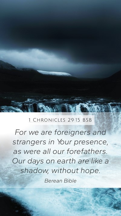 1 Chronicles 29:15 BSB Bible Verse Image