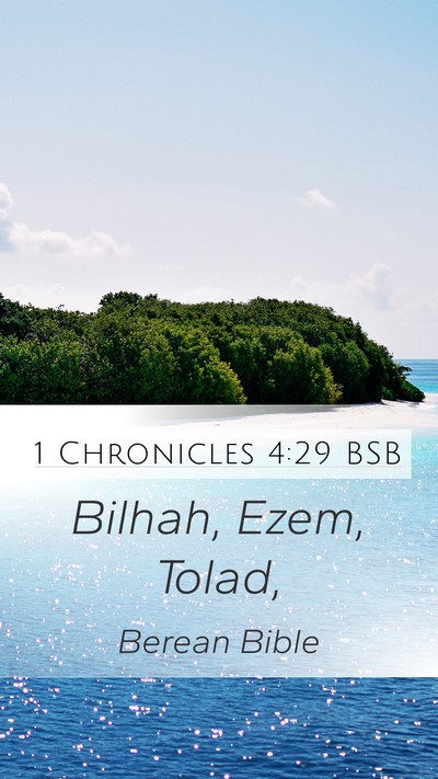 1 Chronicles 4:29 BSB Bible Verse Image