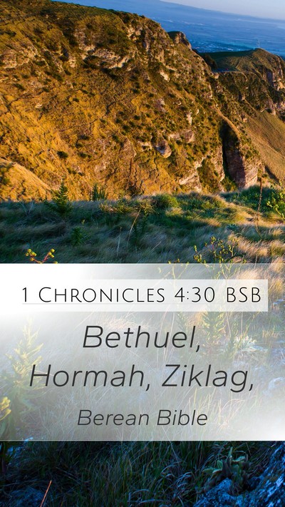 1 Chronicles 4:30 BSB Bible Verse Image