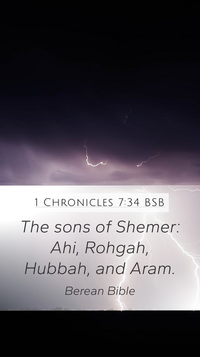 1 Chronicles 7:34 BSB Mobile Phone Wallpaper - The sons of Shemer: Ahi, Rohgah, Hubbah, and - Mobile Bible Verse Wallpaper