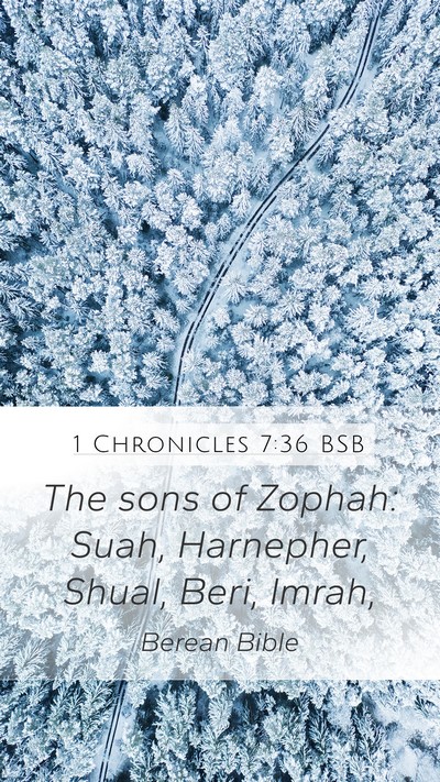 1 Chronicles 7:36 BSB Mobile Phone Wallpaper - The sons of Zophah: Suah, Harnepher, Shual, Beri, - Mobile Bible Verse Wallpaper