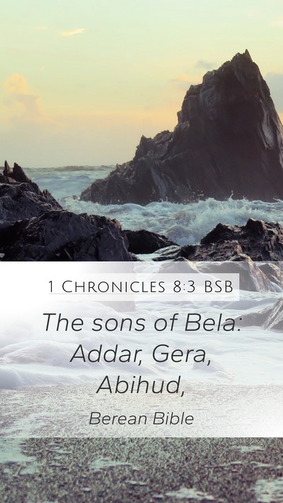 1 Chronicles 8:3 BSB Bible Verse Image