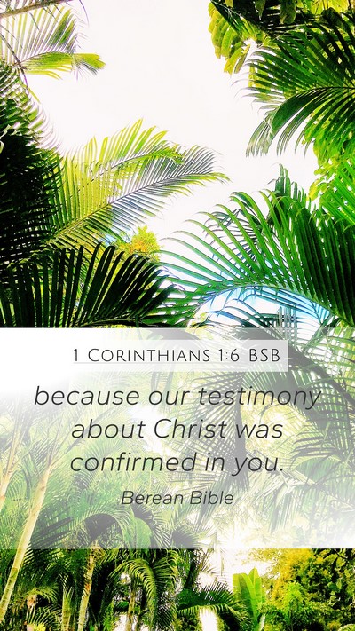 1 Corinthians 1:6 BSB Mobile Phone Wallpaper - because our testimony about Christ was confirmed - Mobile Bible Verse Wallpaper