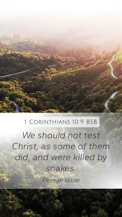 1 Corinthians 10:9 BSB Bible Verse Image