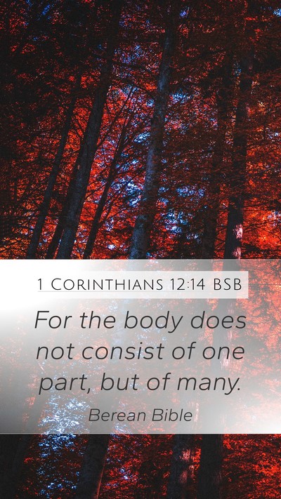 1 Corinthians 12:14 BSB Bible Verse Image
