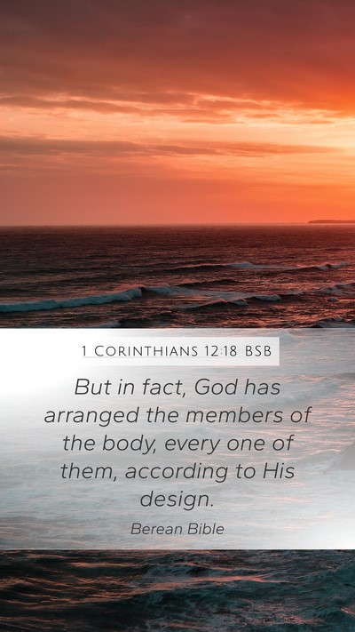 1 Corinthians 12:18 BSB Bible Verse Image