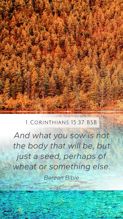 1 Corinthians 15:37 BSB Bible Verse Image