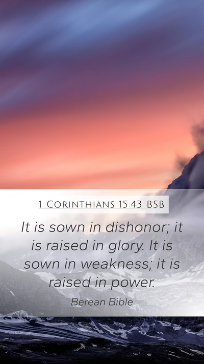 1 Corinthians 15:43 BSB Bible Verse Image