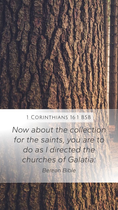 1 Corinthians 16:1 BSB Bible Verse Image