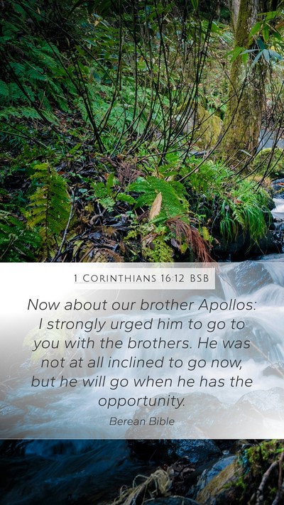 1 Corinthians 16:12 BSB Bible Verse Image